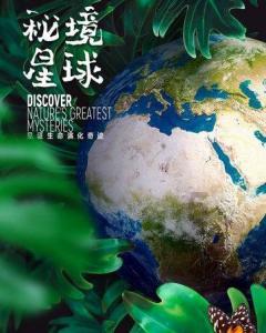 逃离森林湖畔